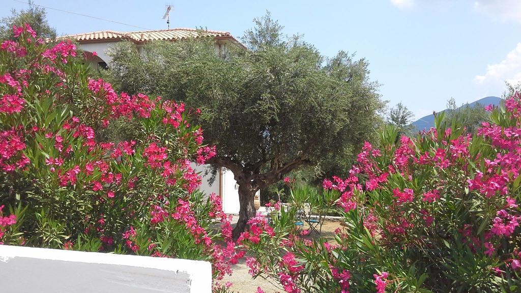 Kavoulakos Studios Skoutárion Exterior foto