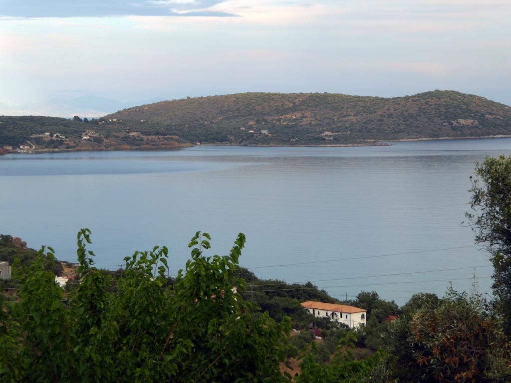 Kavoulakos Studios Skoutárion Exterior foto